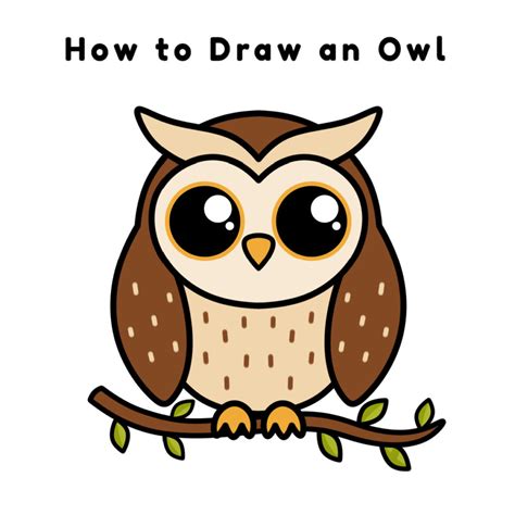 How To Draw A Owl Step By Step Easy