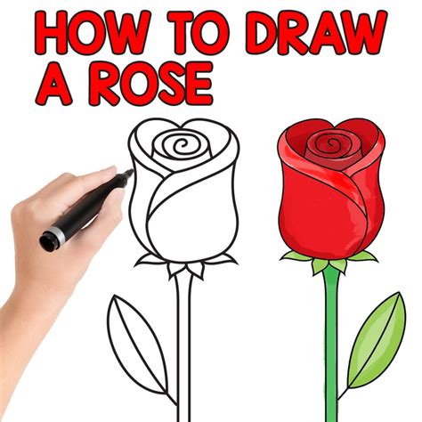 How to Draw A Rose Rose step by step, Rose drawing
