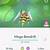 how do you mega evolve beedrill in pokemon go