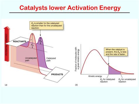 PPT Reaction Rates (Chapter 13) PowerPoint Presentation, free