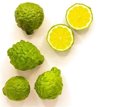 What Does Bergamot Smell Like? Its Benefits & Uses