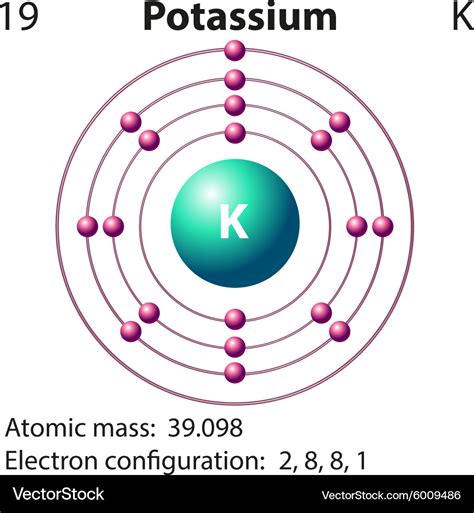 Potassium and Sodium