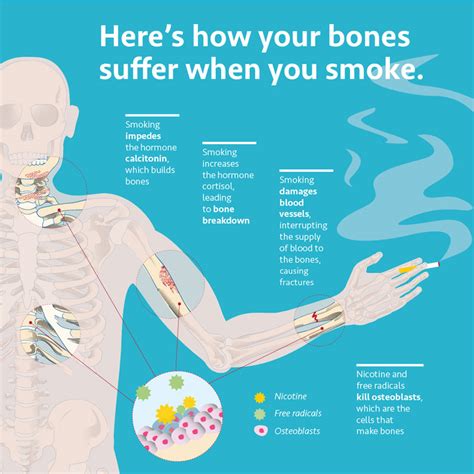 how does smoking affect osteoporosis