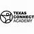 how does texas connections academy work