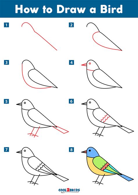 How to Draw a Bird Step by Step Side View EasyDrawingTips