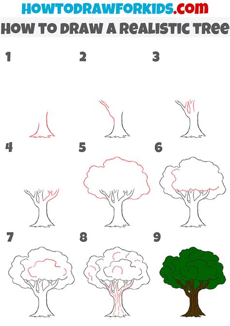 How to Draw a Pine Tree Step by Step Easy Drawing Guides