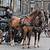 how fast did horse drawn carriages travel