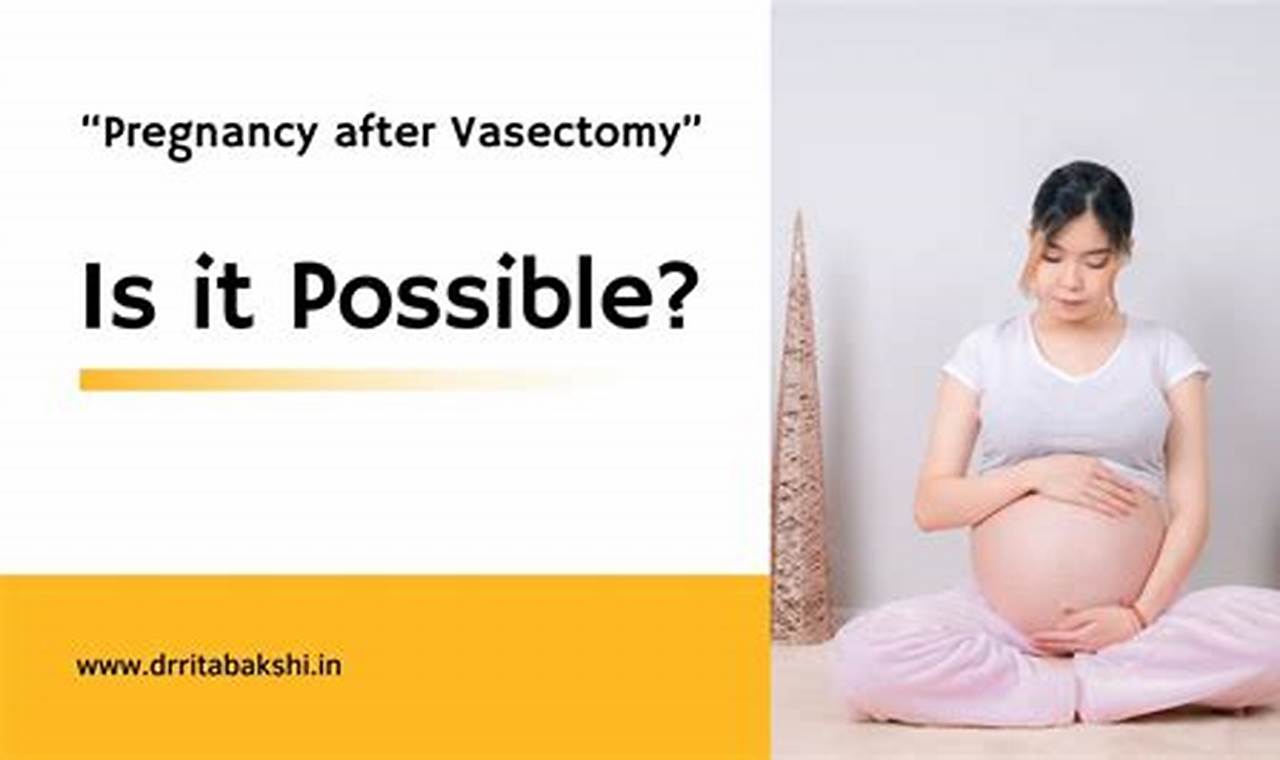 How Hard Is It To Get Pregnant After Vasectomy Reversal