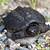 how long can baby snapping turtles stay out of water