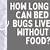 how long can bed bugs go without eating