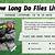 how long do flies live on fly paper