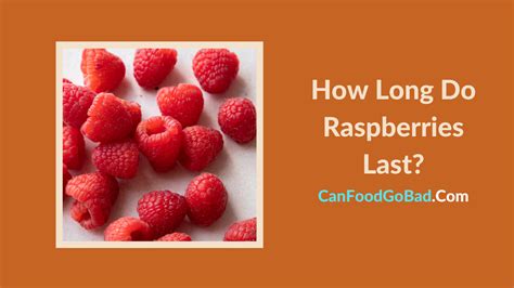 Raspberries Shelf Life How Long Do Raspberries Last