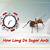how long do sugar ants live