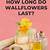how long do wallflowers last