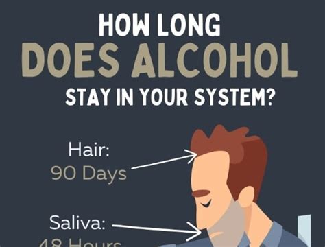 How Long Does Alcohol Stay in Your System? Icy Health