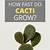 how long does it take for a cactus to grow full size