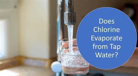 Do Carbon Filters Remove Chlorine and Chloramine from