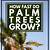 how long does it take for palm trees to grow