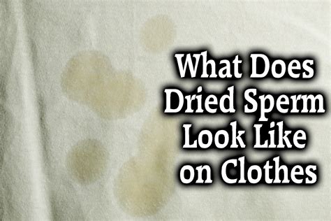 How Long Does It Take To Wash And Dry A Load Of Clothes At