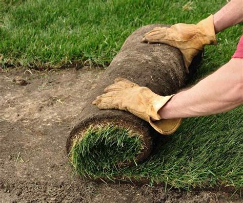 How to Remove Old Sod and Lay New Sod howtos DIY