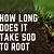 how long does it take sod to root in winter