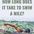 how long does it take to swim 1 mile in open water
