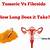 how long does it take turmeric to shrink fibroids