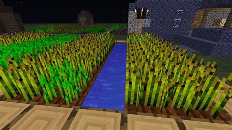 Wheat growing mini animation FarmChallenge Minecraft