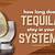 how long does tequila last in your body