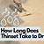 how long does thinset take to dry on cement board