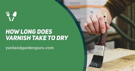How Long Does It Take Deck Stain To Dry at Craigslist