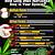 how long does weed stay in your system chart