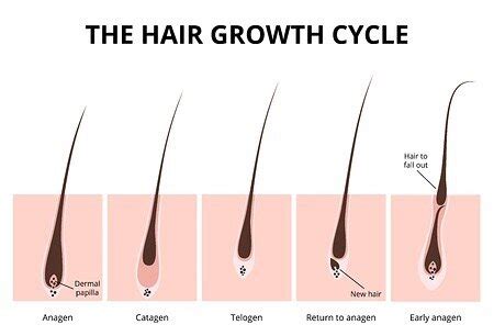 How To Grow Long Hair and Thick Hair Just In 3 Weeks
