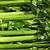 how long is celery good