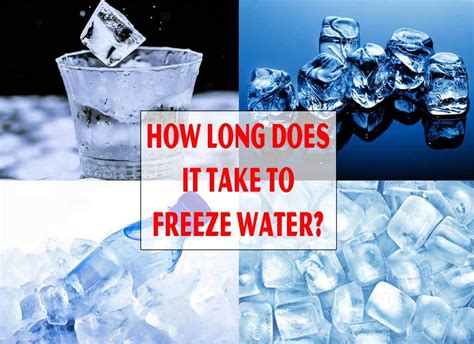 How To Freeze Okra Whole