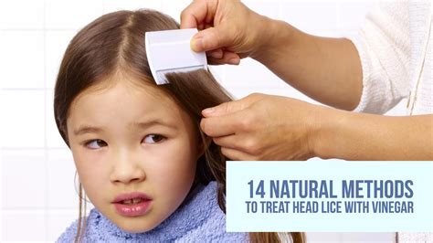 How Long To Treat Head Lice: Everything You Need To Know