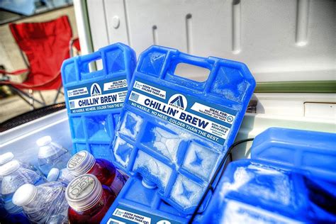 The 8 Best Ice Packs for Coolers in 2020