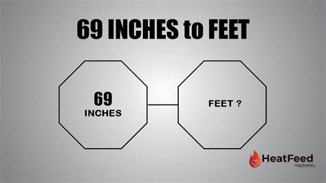 How Tall Is 20 Feet Compared To A Human? Measuring Stuff