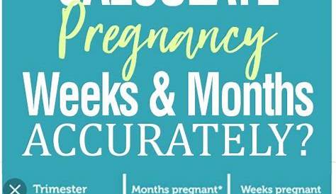 How Many Months Pregnant Am I Quiz ? Pregnancy By Weeks And