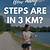 how many steps is 3 km