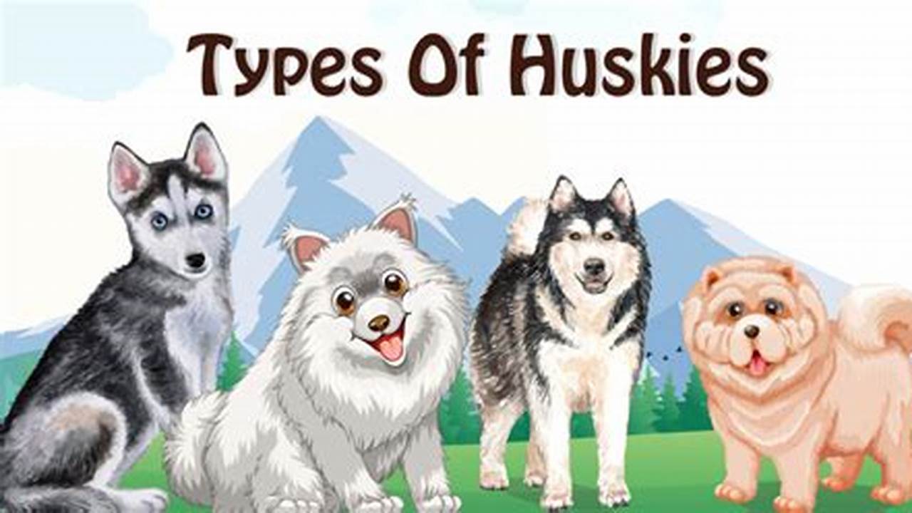 Unveiling the Husky Breed's Diversity: Discover the Many Types