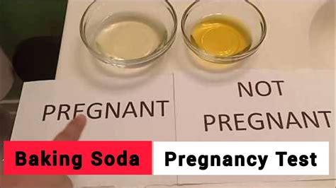 pregnant baking soda test YouTube