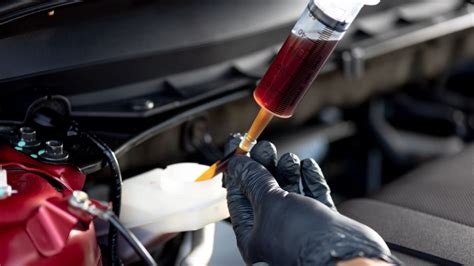 ️ Brake Fluid Flush Cost ️ Everything You Need to Know!