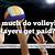 how much do professional volleyball players get paid