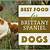 how much food should a brittany spaniel eat