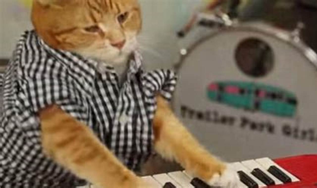 how much is keyboard cat worth