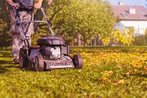 Why You Should Get Landscaping Insurance Right Now?