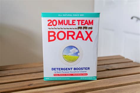 Borax Powder (1 Gallon, 9 lbs) by Pure Organic Ingredients, Resealable