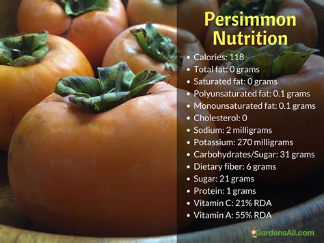 Persimmon Nutrition Facts Calories, Carbs, and Health Benefits
