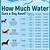 how much water does a pony drink per day